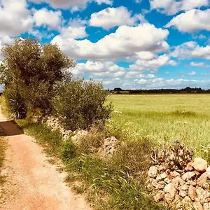  Casa vacanze Arthouse Mit Haus Galeria 110qm Und Appartementhaus Mit Patio 30qm Spagna